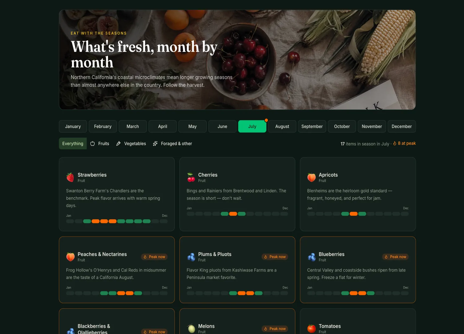 Market Guide template — screen 2